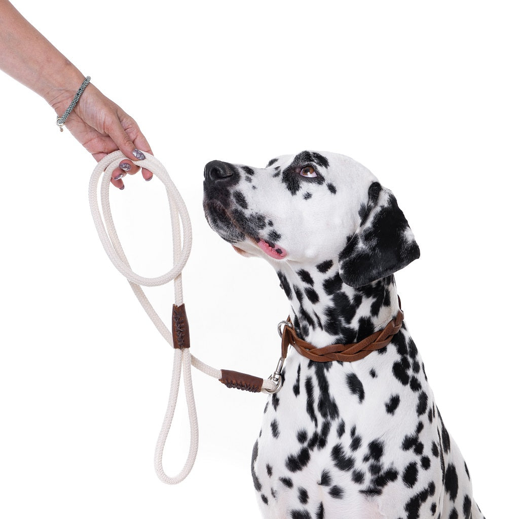 Just Cotton Hondenriem 3m/10mm diverse kleuren