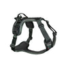 Ramble harness - non stop dogwear